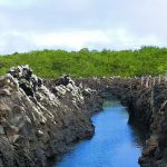 thewoodenhouselodgeislandhopping