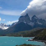 Torres del Paine National forest