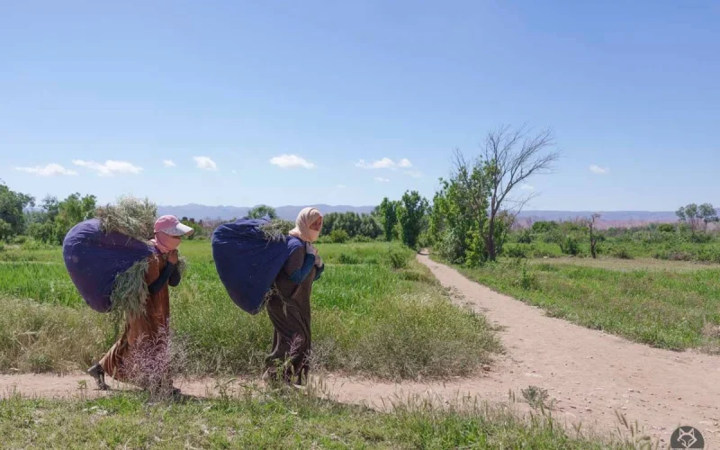 What Camera Gear Do You Actually Need for a Photography Tour in Morocco?